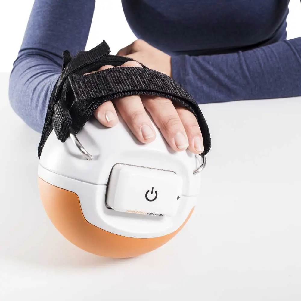 image_2.webp