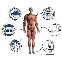 image_2.webp